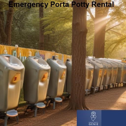 Porta Potty Genie Emergency Porta Potty Rental